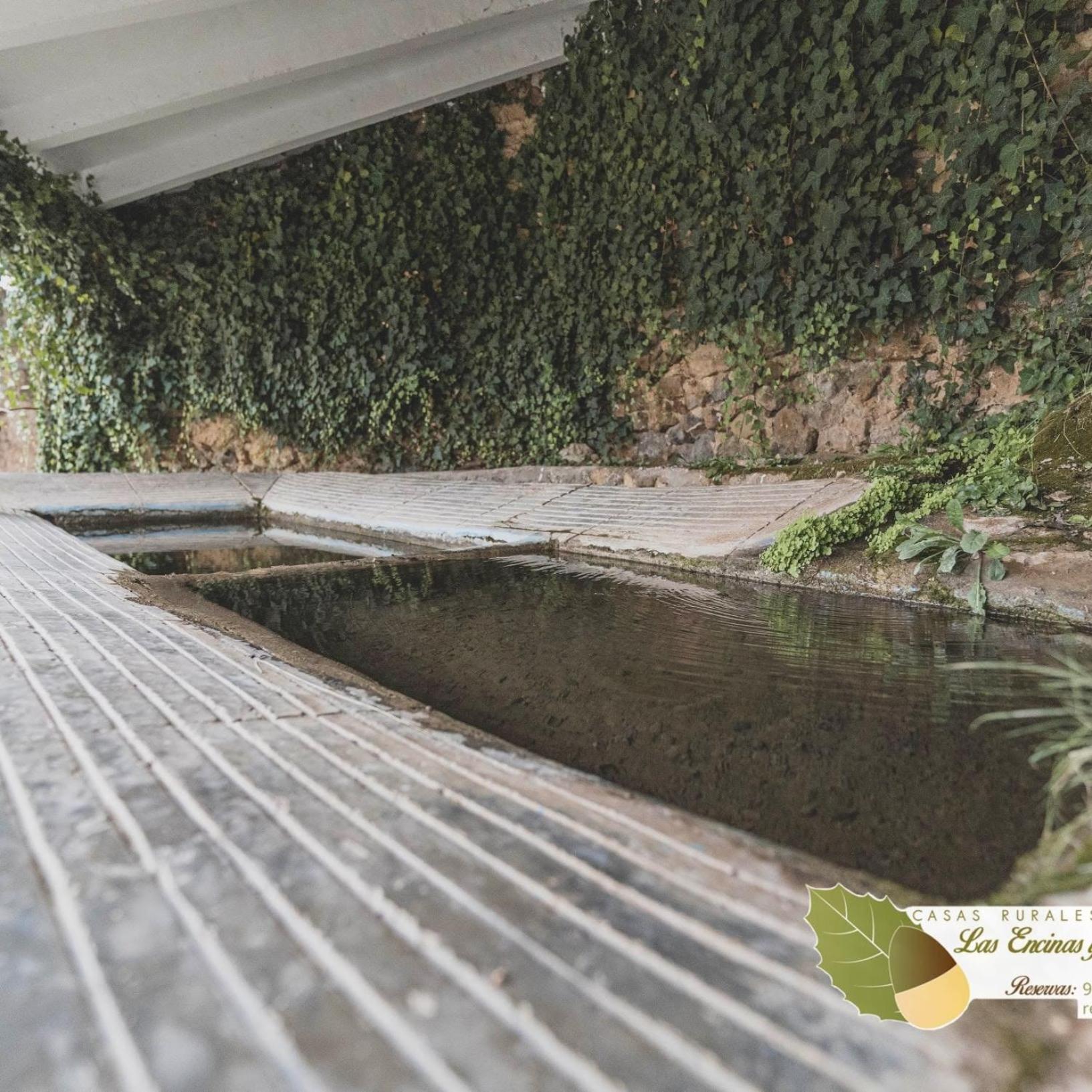 Las Encinas Yeste Zewnętrze zdjęcie
